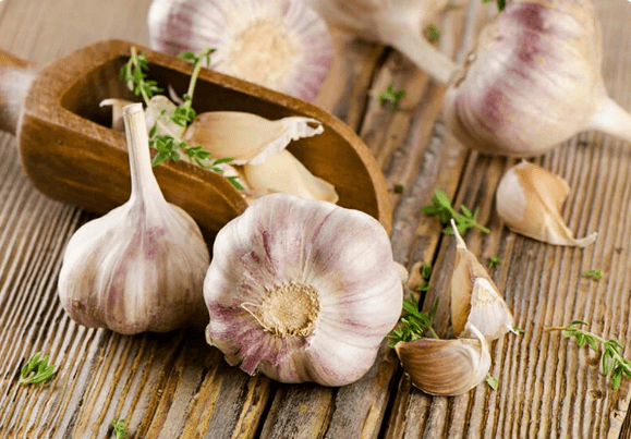 Aglio da vermi
