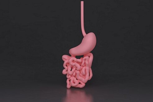 intestino parassitato