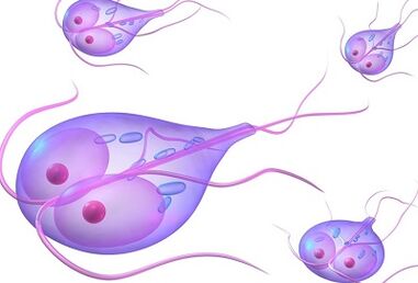 Tipi di parassiti nel corpo umano